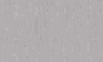 A101110 Обои ARTSIMPLE (1*6) 10,00x1,06 винил на флизелине арт. 111396
