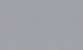 A101114 Обои ARTSIMPLE (1*6) 10,00x1,06 винил на флизелине арт. 111400