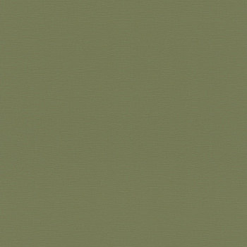 687538 Обои Rasch (1*12) 10,05x0,53 винил на флизелине арт. 111489