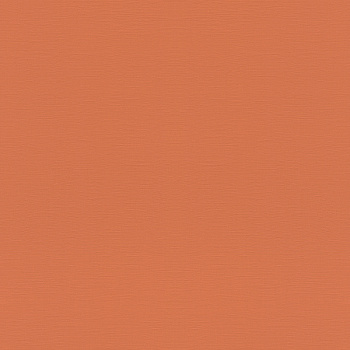687569 Обои Rasch (1*12) 10,05x0,53 винил на флизелине арт. 111491