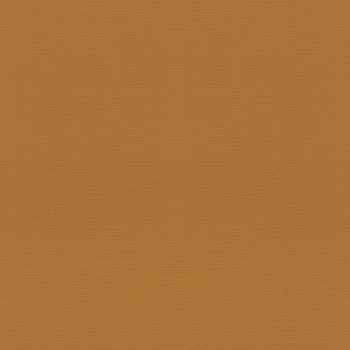 688054 Обои Rasch (1*12) 10,05x0,53 винил на флизелине арт. 111497