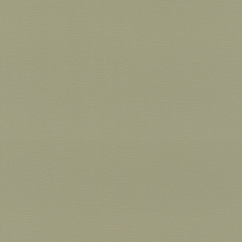 692709 Обои Rasch (1*12) 10,05x0,53 винил на флизелине арт. 111508