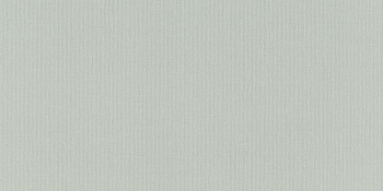 960792 Обои Rasch (1*6) 10,05x1,06 винил на флизелине арт. 111618