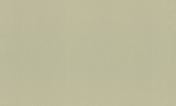 983562 Обои Rasch (1*6) 10,05x1,06 винил на флизелине арт. 111635