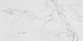 PORCELANOSA CARRARA BLANCO NATURAL 59.6x120 G-369 арт. 41356