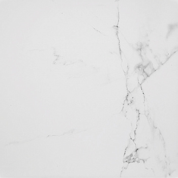 PORCELANOSA CARRARA BLANCO BRILLO L 59.6х59.6 G-347 арт. 41357