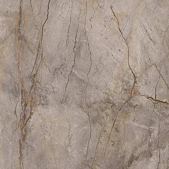 APAVISA WILD FOREST GREY NAT MIX 119.3х119.3 G-3397 арт. 41491