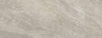 PORCELANOSA INDIC GRIS GLOSS 45х120 G-270 арт. 42181