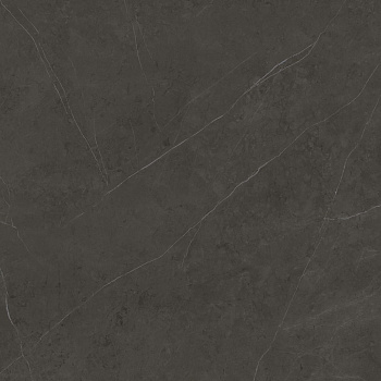 PORCELANOSA XLIGHT LIEM DARK POLISHED 120х120x6 G-2530 арт. 42237