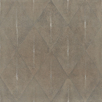 APARICI SHAGREEN COFFEE LAPPATO 59.55х59.55 G-3392 арт. 42374