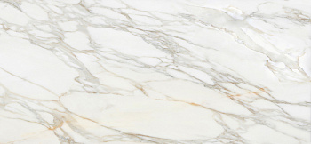 APAVISA BORGHINI WHITE POLISHED 119.3х260 G-3467 арт. 42528