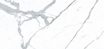 APAVISA STATUARIO EXTRA WHITE NATURAL MIX 119.3х260x6.5 G-3413 арт. 42569