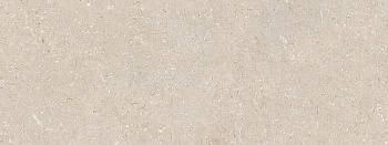 PORCELANOSA CORAL CALIZA 45х120 G-270 арт. 43683