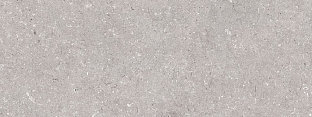 PORCELANOSA CORAL ACERO 45х120 G-270 арт. 43687