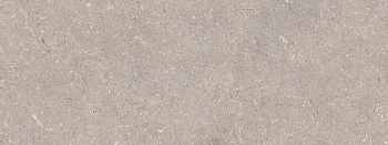 PORCELANOSA CORAL TOPO 45х120 G-270 арт. 43689