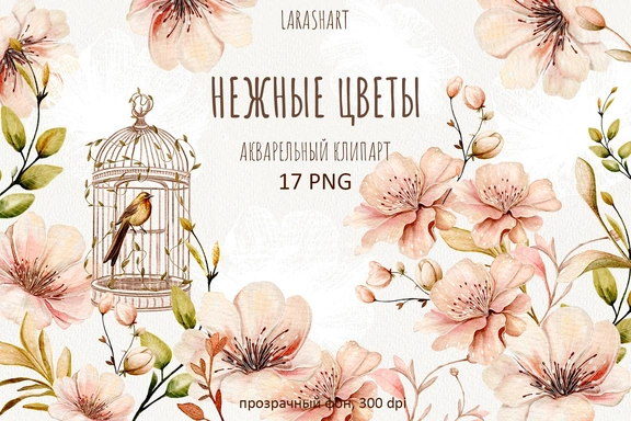 Нежные цветы — акварельный клипарт — Клипарт, PNG