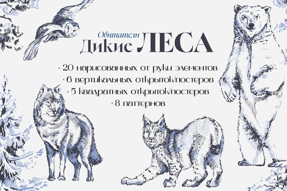 Дикие Обитатели Леса. Графический набор нарисованный от руки — Наборы, EPS