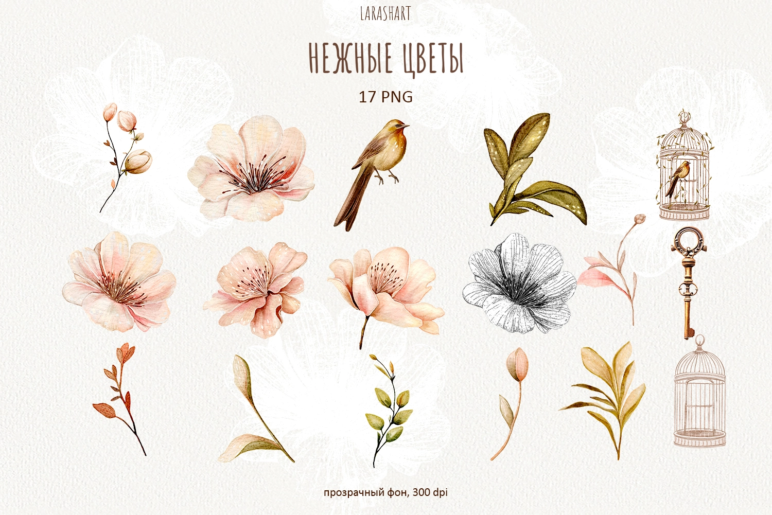 Нежные цветы — акварельный клипарт - скриншот 1