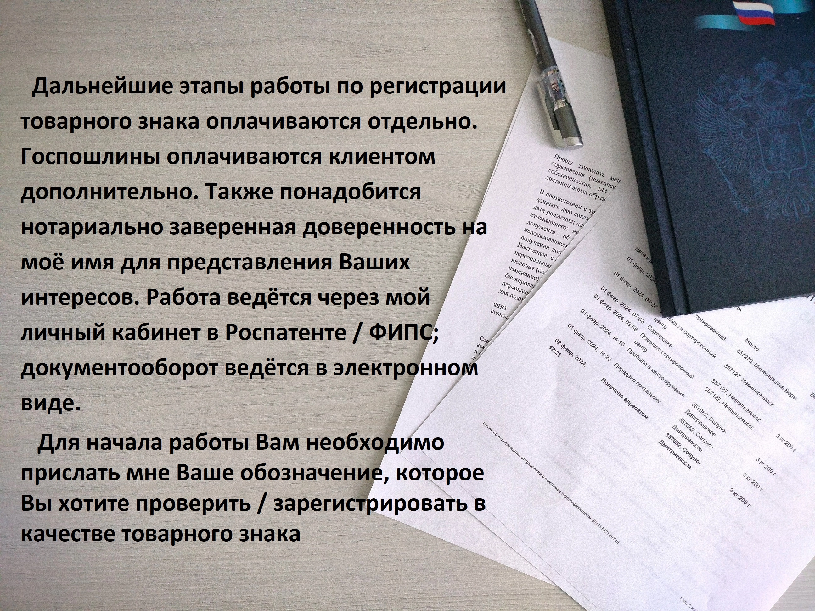 Регистрация товарного знака - Информационно-патентный поиск - скриншот 4