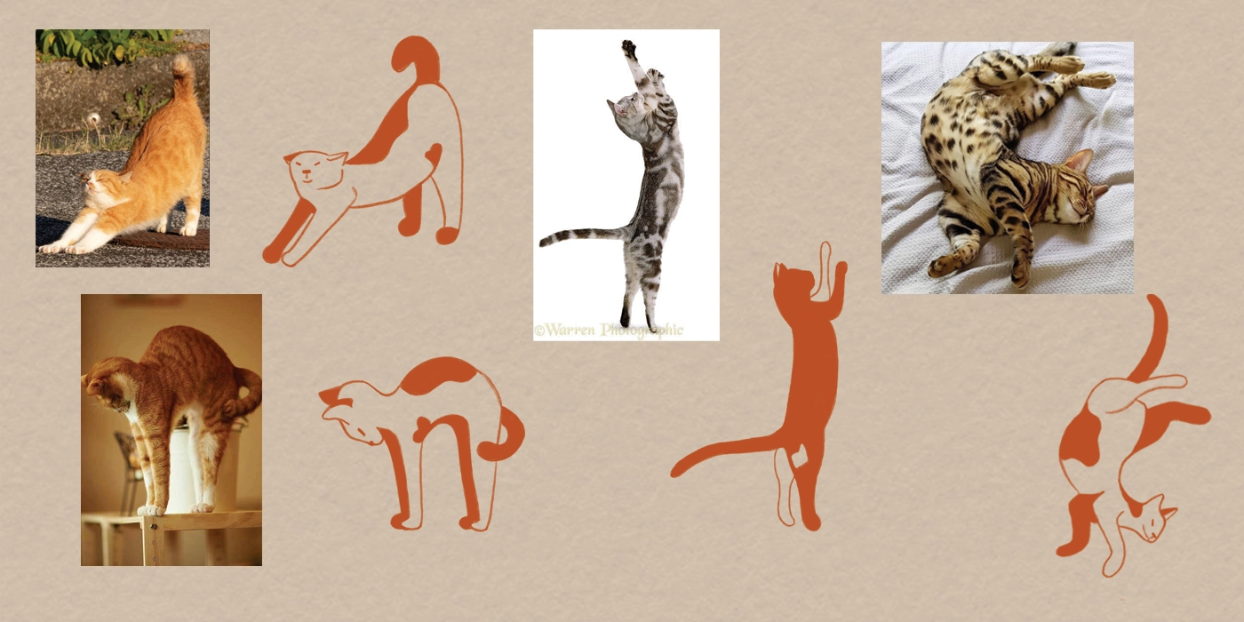 Календарь 2026 с забавными котами - скриншот 2