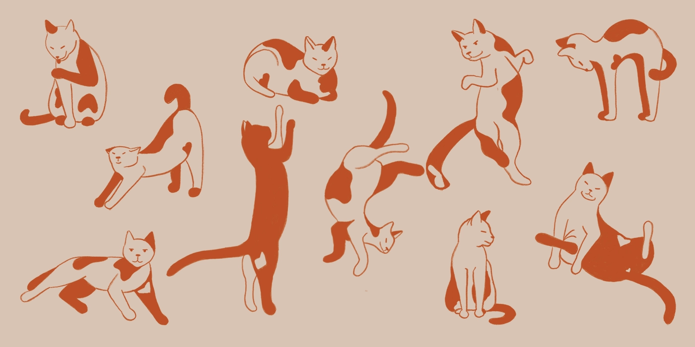 Календарь 2026 с забавными котами - скриншот 3