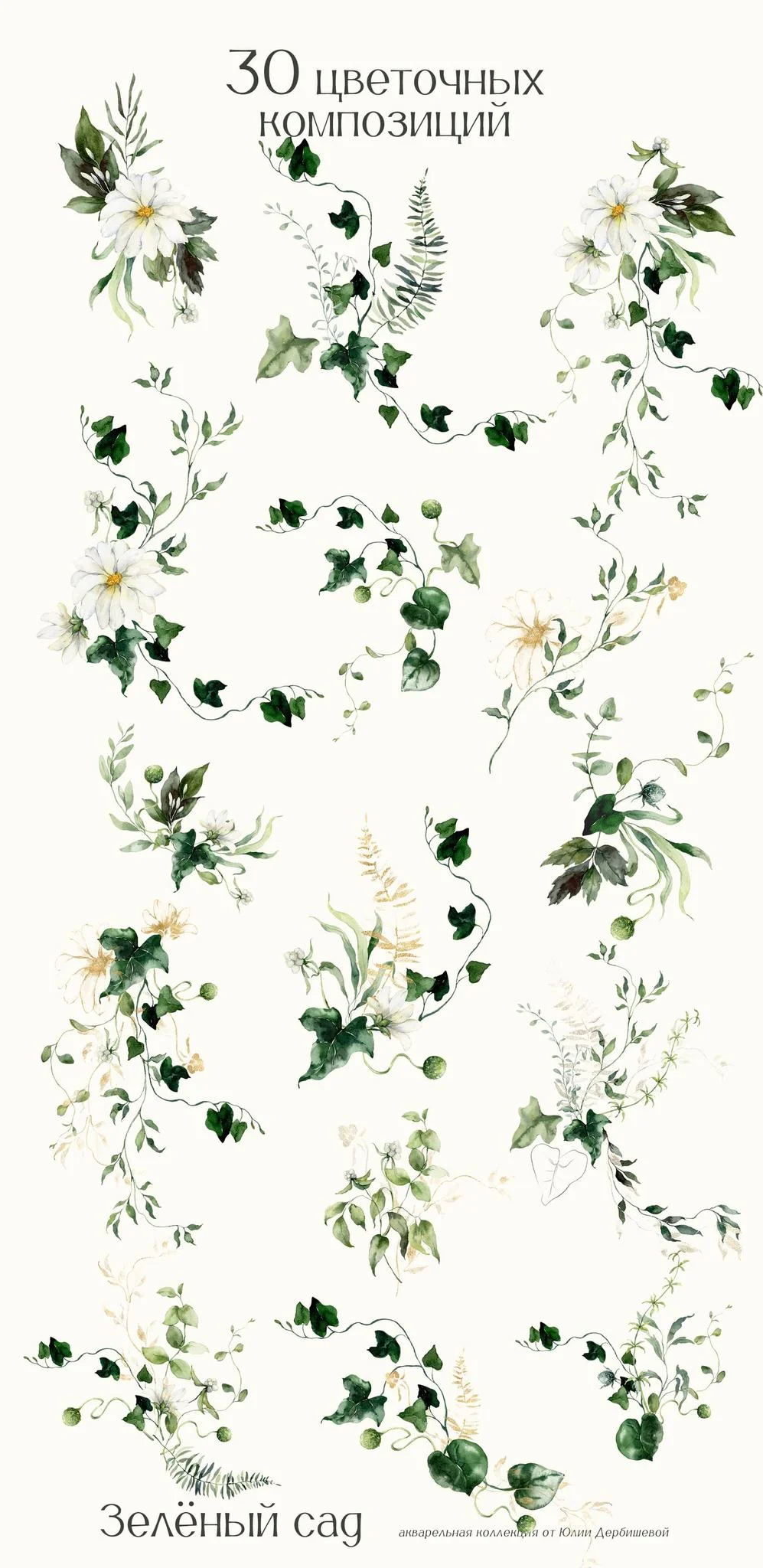Зеленый сад. Акварельные иллюстрации, листья, веточки и белые цветы - скриншот 4