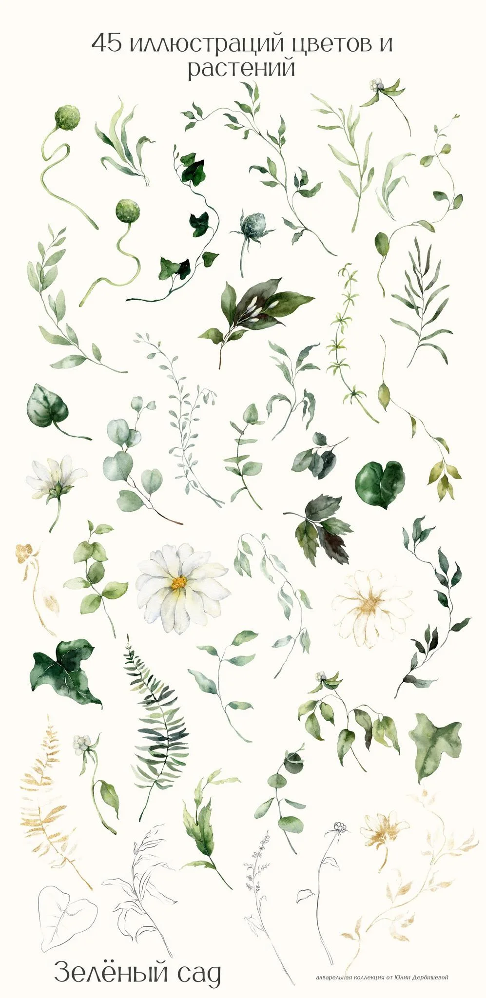 Зеленый сад. Акварельные иллюстрации, листья, веточки и белые цветы - скриншот 2