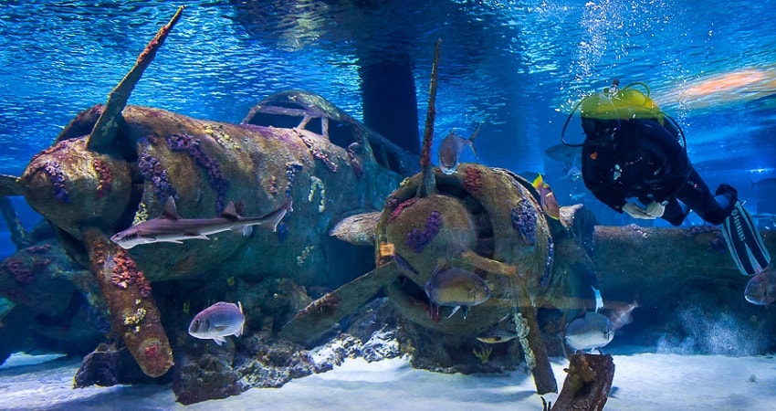 Tour Image 3