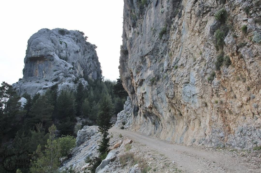 Tour Image 3