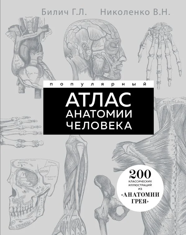 Популярный атлас анатомии человека. Анатомия Грея. 200 классических иллюстраций