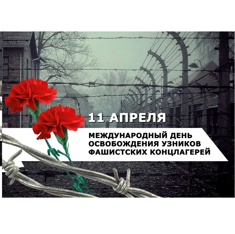 Это не должно повториться