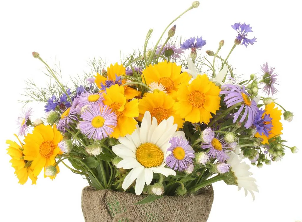 Соберем все цветы в букет