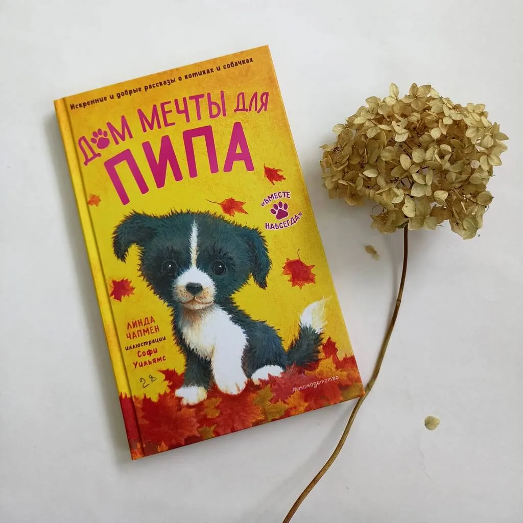 Библиотекарь рекомендует детям Линда Чапмен "Дом мечты для Пипа"
