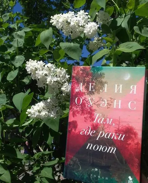 Библиотекарь рекомендует