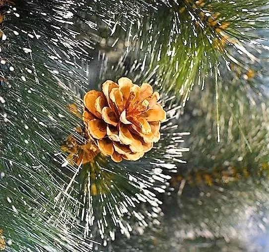 В снежном царстве, в морозном государстве