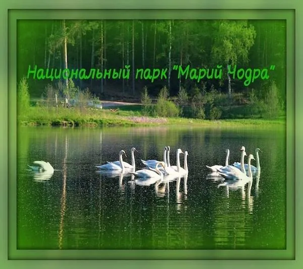 Виртуальная экскурсия «Знакомьтесь, парк «Марий Чодра!»