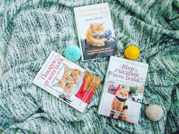 Библиотекарь рекомендует "кота Боба"