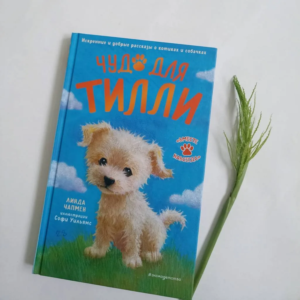 Библиотекарь рекомендует детям. Линда Чапмен «Чудо для Тилли»