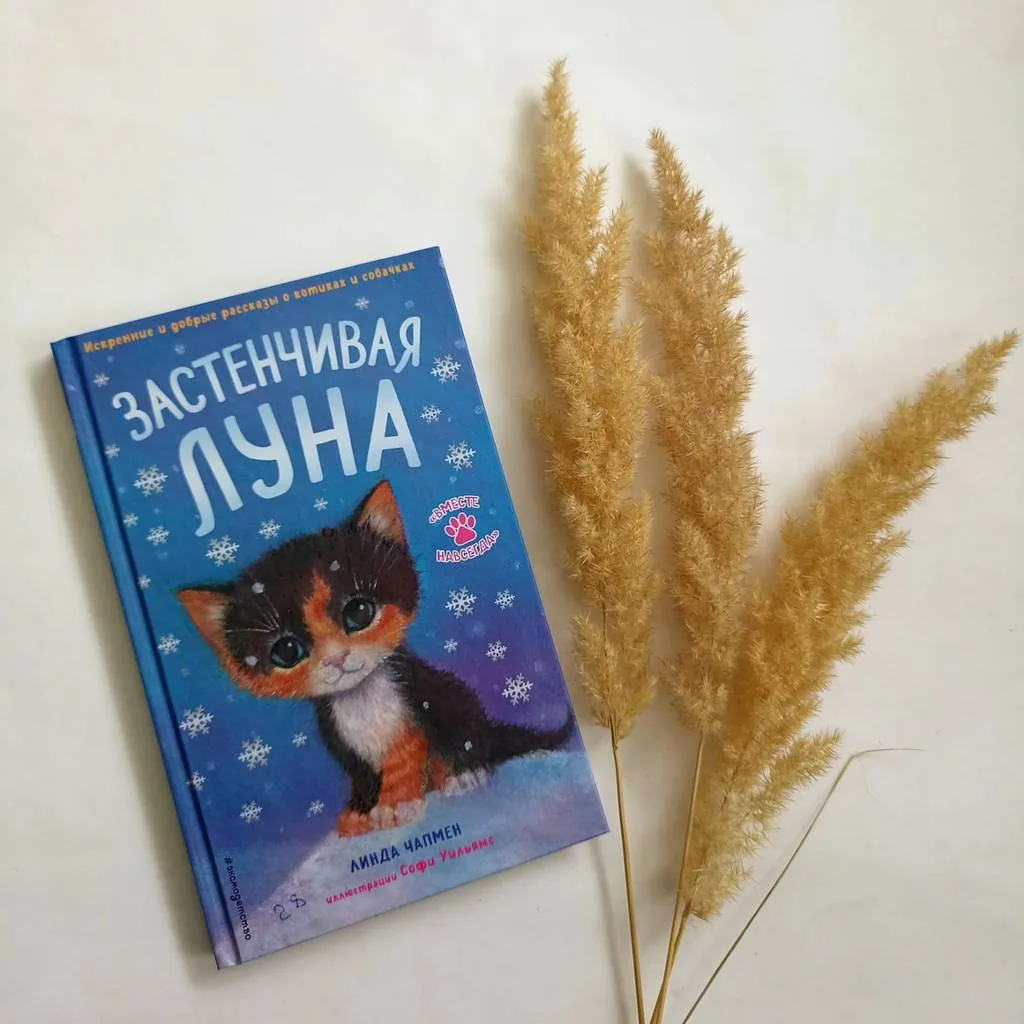 Библиотекарь рекомендует детям Линда Чапмен "Застенчивая Луна"