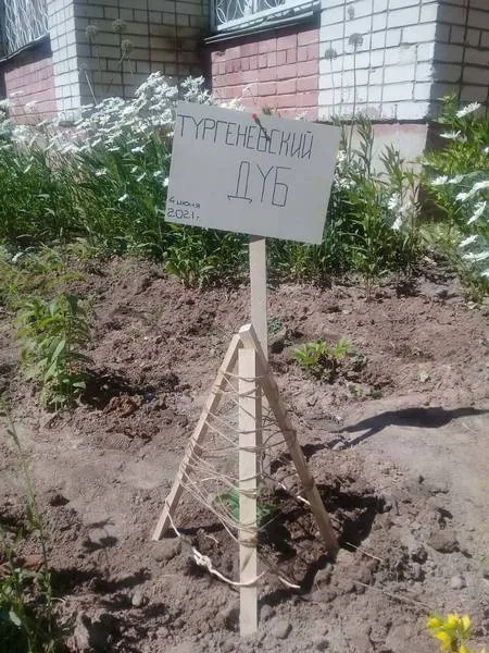 ЭКОДЕНЬ В БИБЛИОТЕКЕ