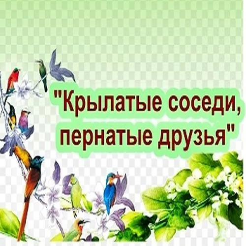 Крылатые соседи, пернатые друзья