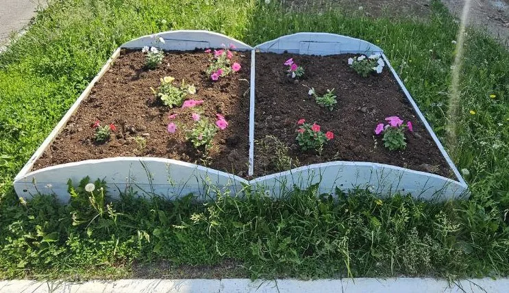 Такие разные книги...