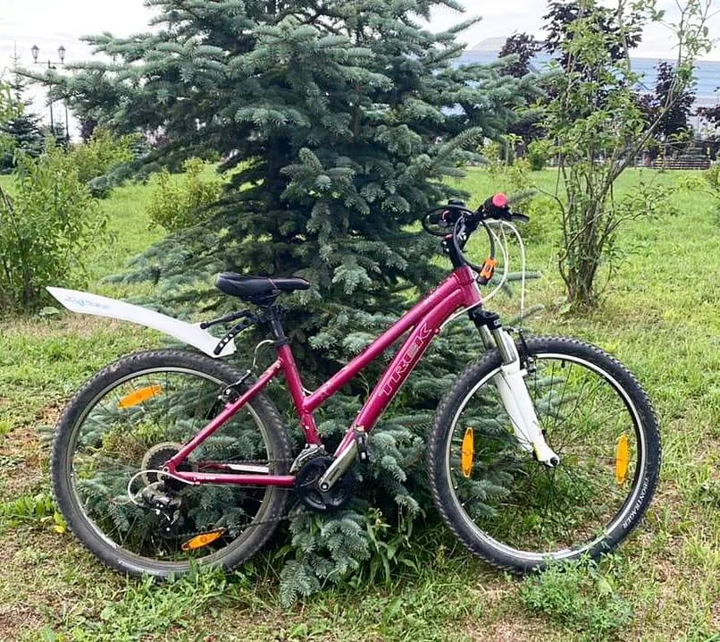 Книги и велосипеды.