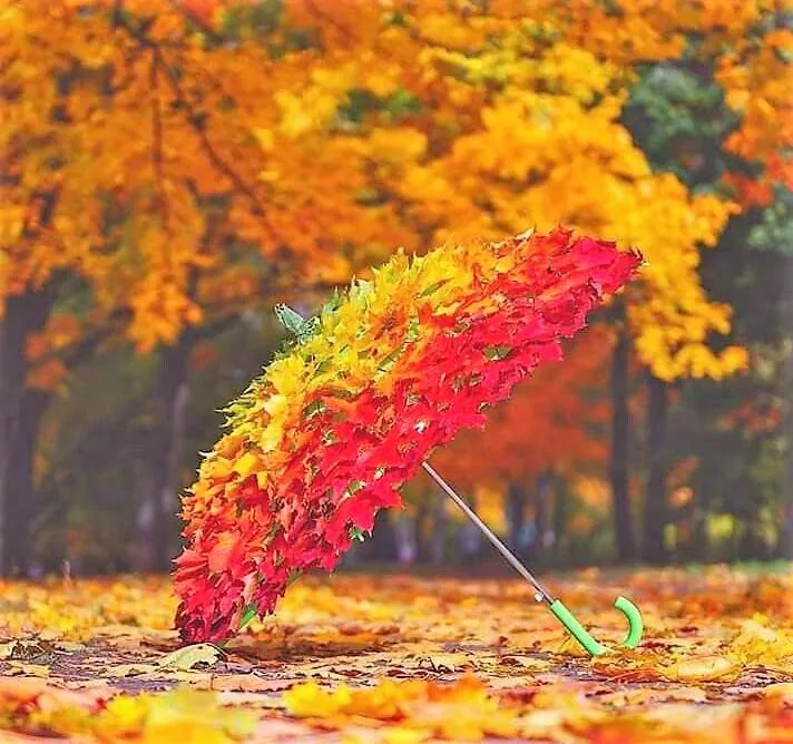 Тематическо-информационный стенд «Волшебница Осень»