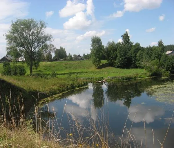 Эссе "Родной язык"