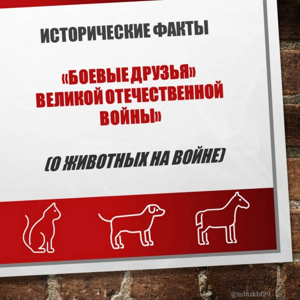 Презентация «”Боевые друзья” Великой Отечественной войны»