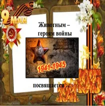 Необычные герои войны