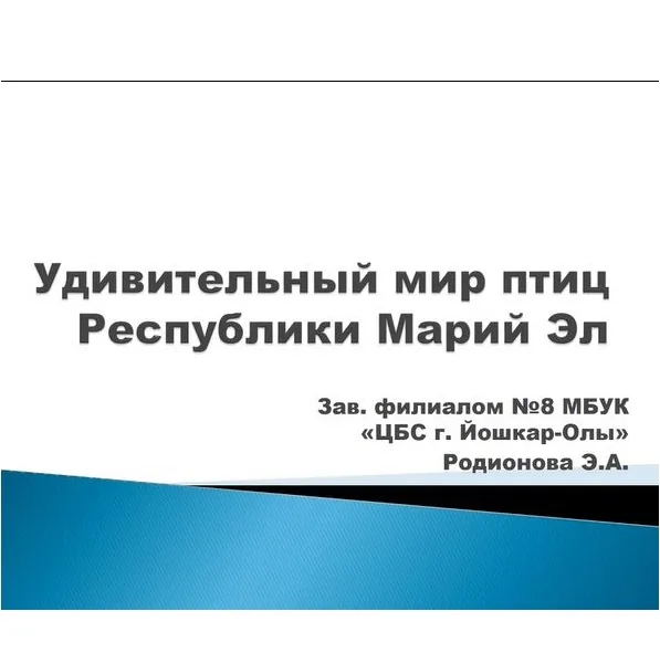 Удивительный мир птиц Республики Марий Эл