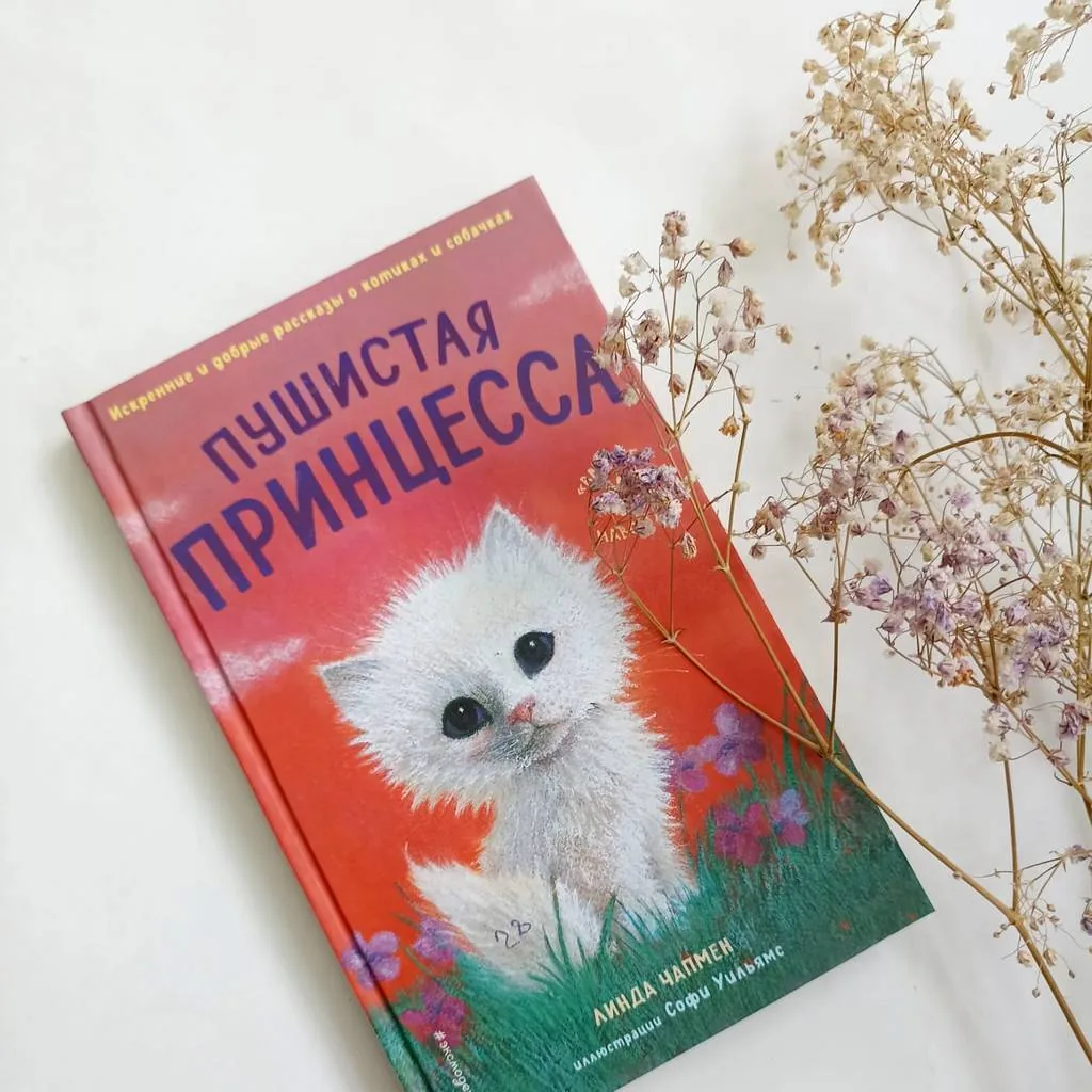 Библиотекарь рекомендует детям Линда Чапмен «Пушистая Принцесса»