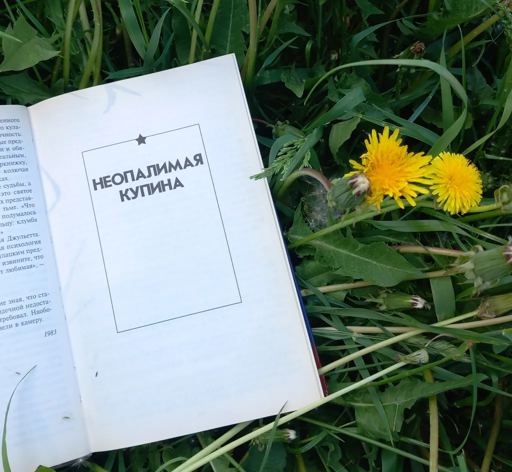 Год Лейтенантской прозы. Борис Васильев «Неопалимая купина»